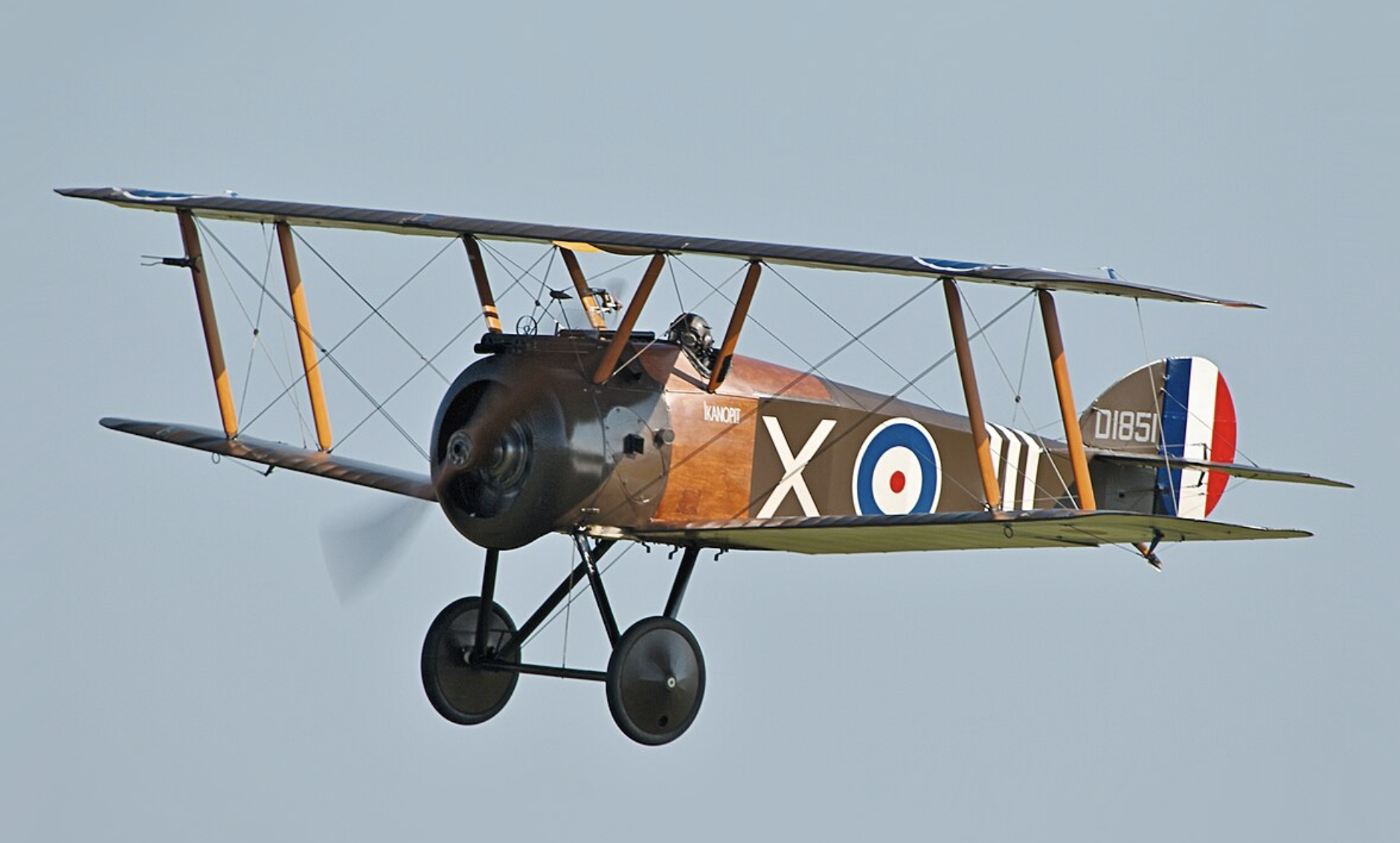 Albatros D.III / D.V – niemiecki myśliwiec I wojny światowej